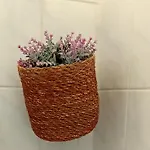 Grandma's House
