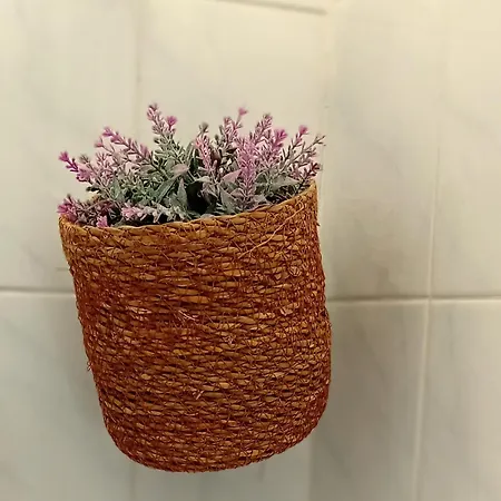 Grandma's House
